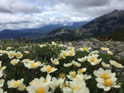 Grass Pass Spring hike, Kananaskis